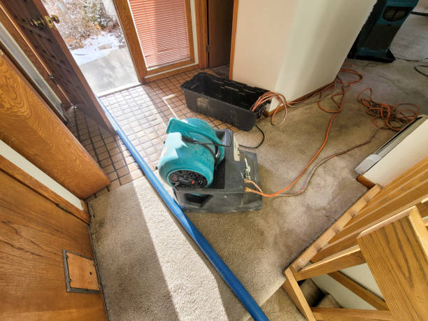 Best Flood restoration services  in Indianola, WA