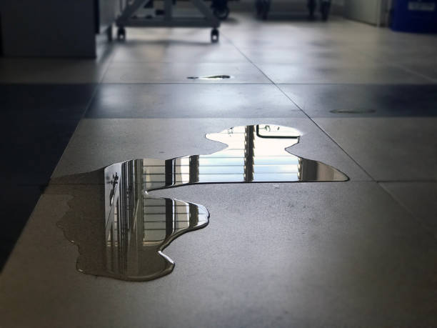 Best Water damage restoration near me  in Indianola, WA