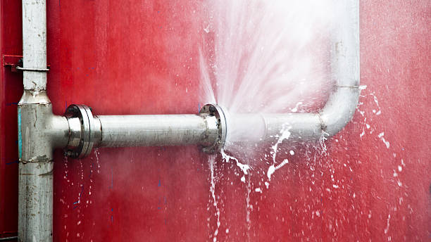 Best Carpet water damage restoration  in Indianola, WA