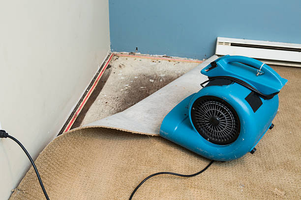 Best Basement water damage restoration  in Indianola, WA